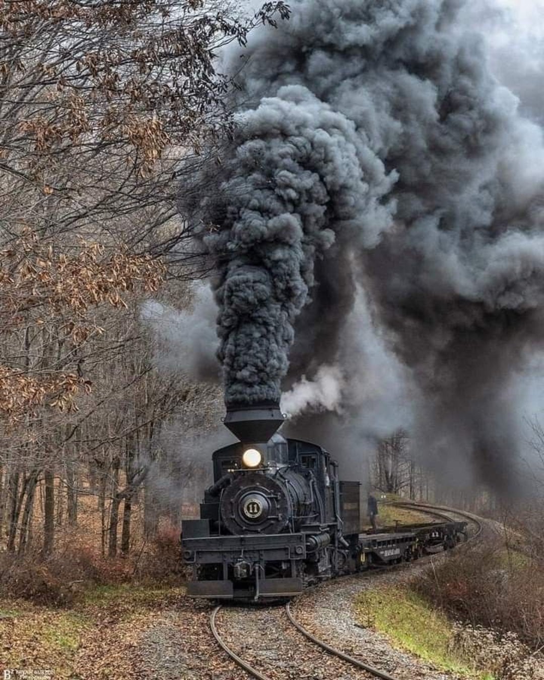 Train on scenic tracks