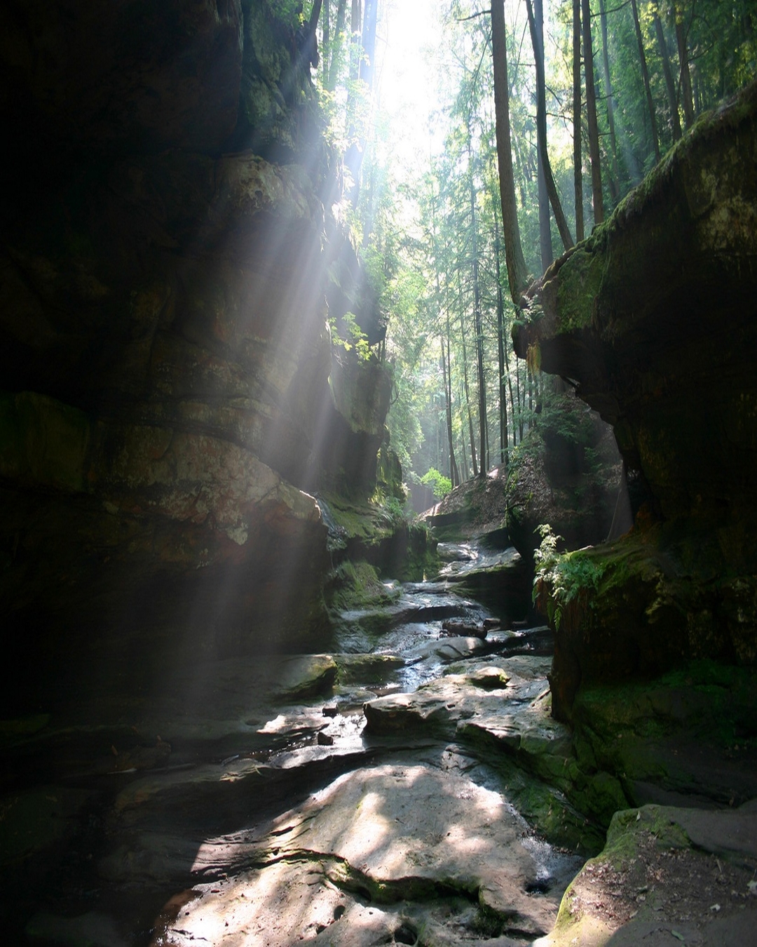 Sunlit trail at Old Man's Cave
